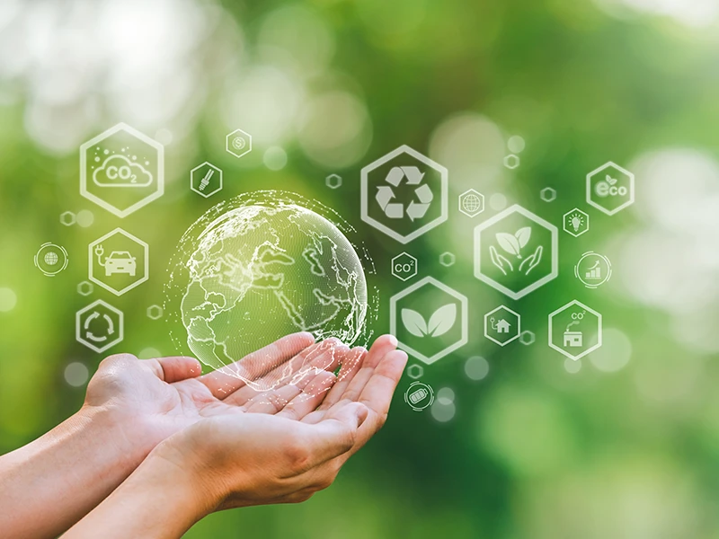 Grafische Darstellung aller Bestandteile des Themas Nachhaltigkeit.