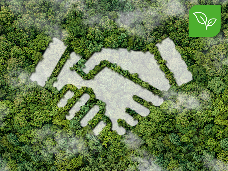 Nachhaltigkeitswebinar ESG.