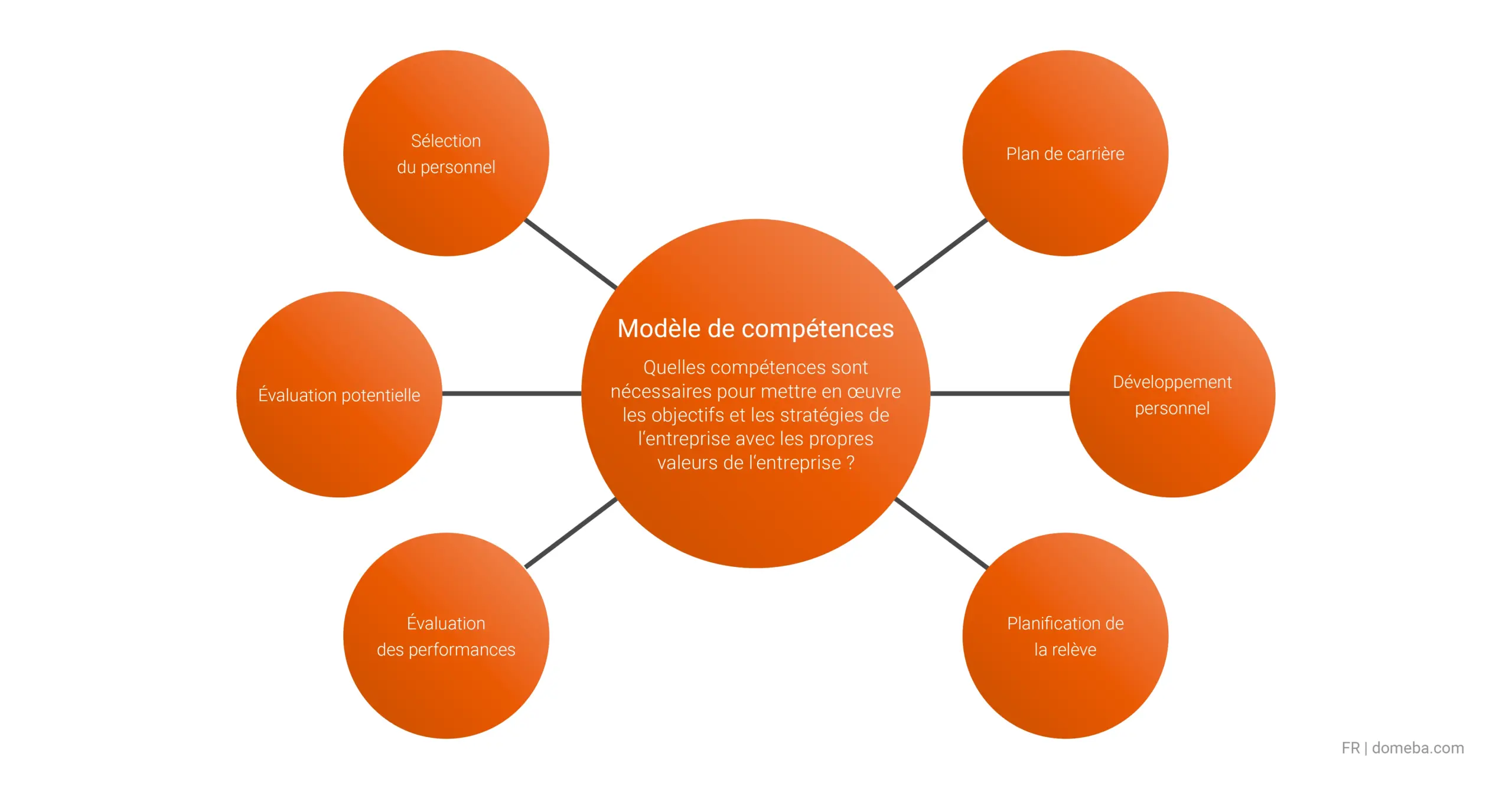 Présentation de tous les domaines d'application d'un modèle de compétences; par exemple, évaluations des performances, planification de carrière et planification de la succession