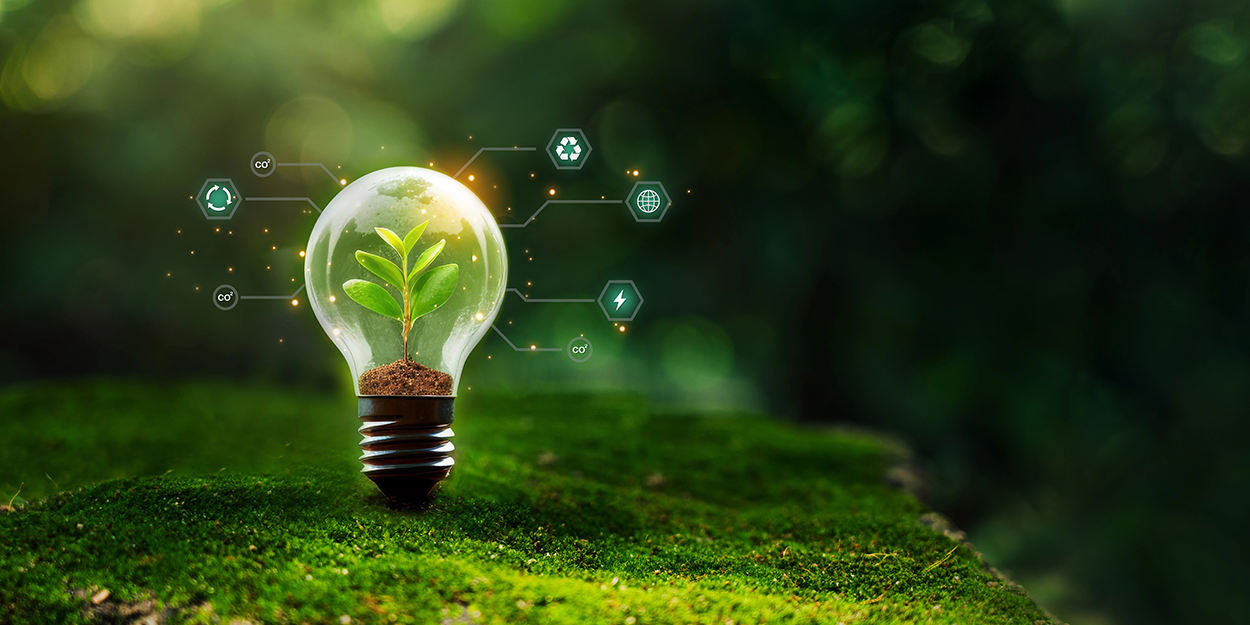 Eine Glühbirne mit einer Pflanze, statt des Leuchtelementes